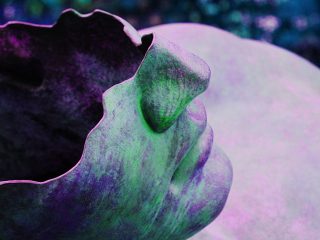 2414403246_ce93e20ce9_b