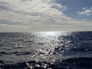 46914776502_b9f18e0f3a_z