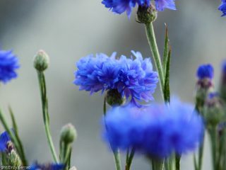 9334347189_fe61a390f0_z