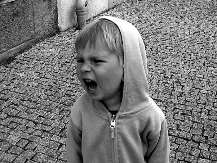 3766009204_8721a00dde_c
