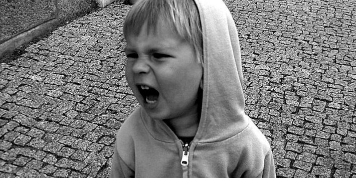 3766009204_8721a00dde_c
