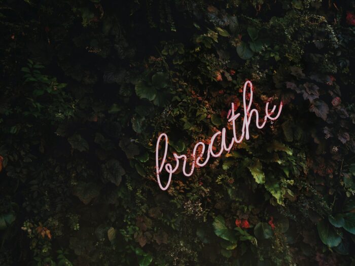 tim-goedhart-vnpTRdmtQ30-unsplash