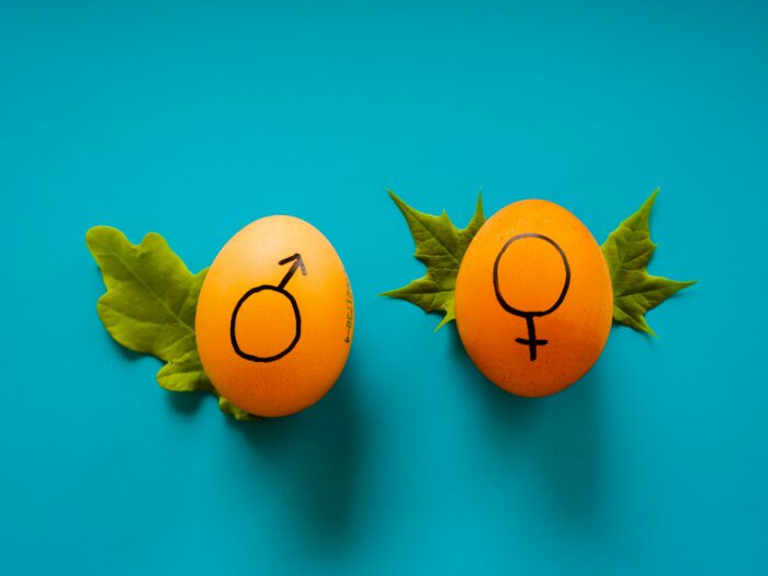 dainis-graveris-lpyHSTHO7LM-unsplash