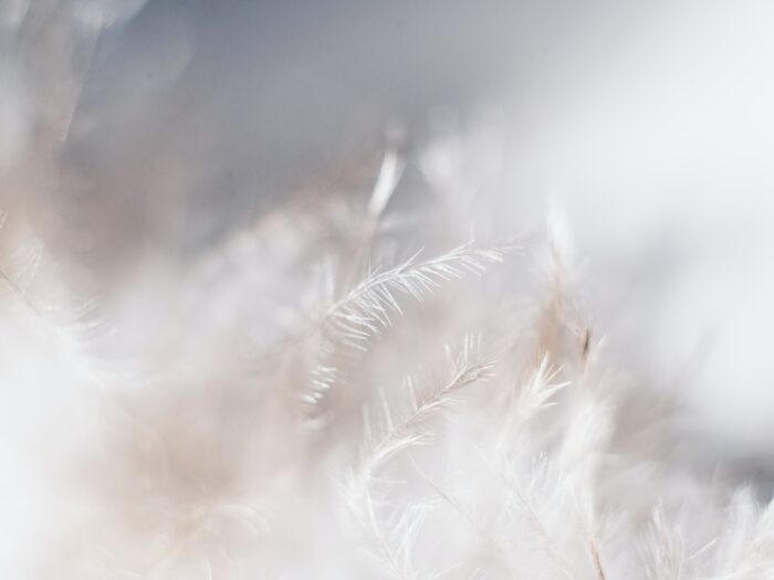 evie-s-Sw7f58YJbc0-unsplash