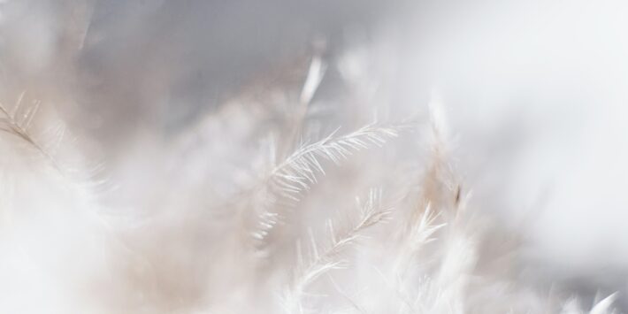 evie-s-Sw7f58YJbc0-unsplash