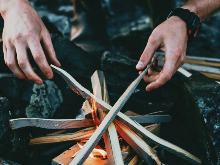 survival