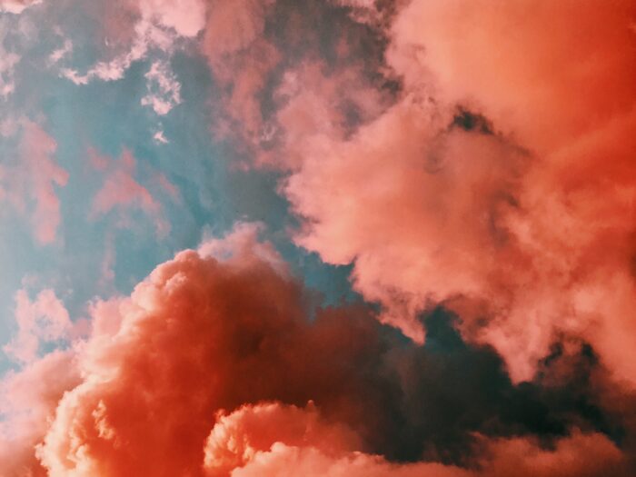 laura-vinck-Hyu76loQLdk-unsplash