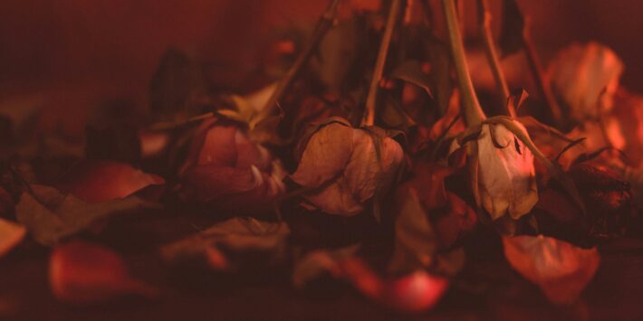 heike-trautmann-E7yuXRIwc30-unsplash