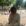 Avatar-Foto