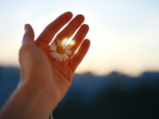 liana-s-csEj7kuWn3o-unsplash