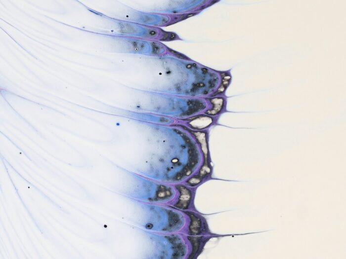 susan-wilkinson-zCifOlKG8oY-unsplash