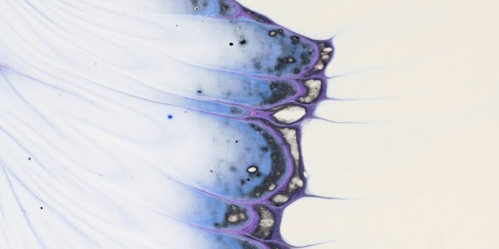 susan-wilkinson-zCifOlKG8oY-unsplash