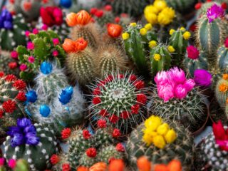 getty-images-pOqdn8bj6tE-unsplash