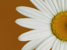 allec-gomes-EjwtVBf5cFU-unsplash
